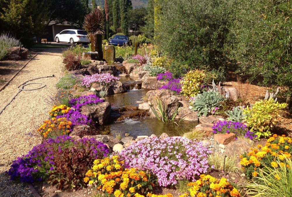 What Flowers Bloom All Year Round in California