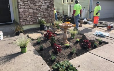 Things to Consider Before Choosing a Landscape Contractor